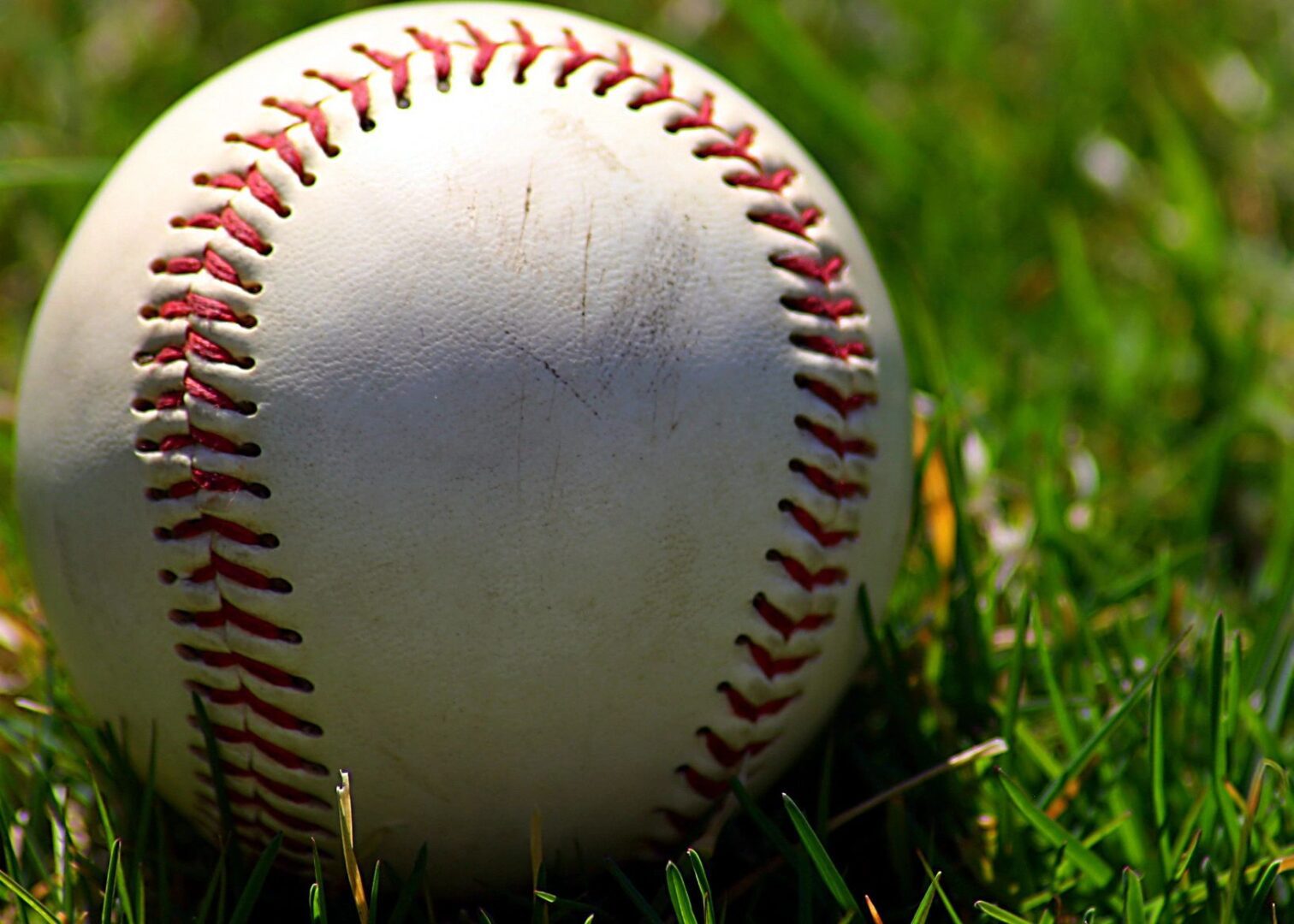 A baseball sitting in the grass with red laces.