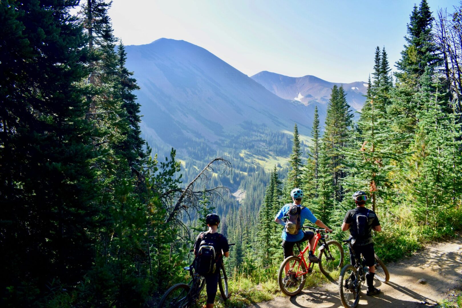 A group of people riding bikes on top of a hill.